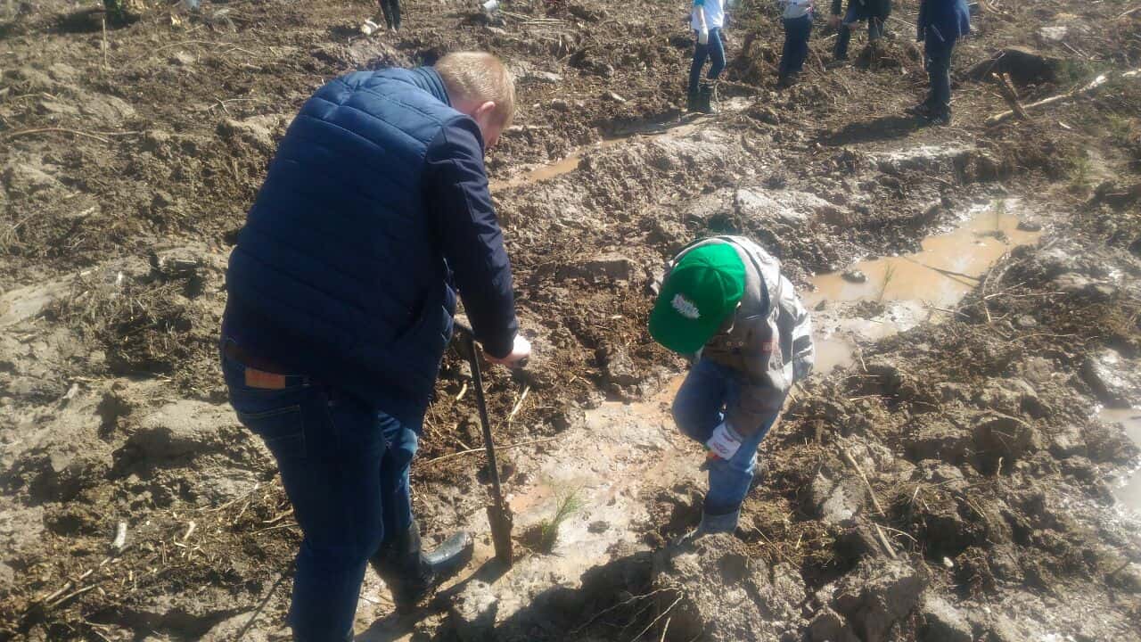 Руководство Энергогарант приняло участие в эколого-патриотической акции «Лес Победы»